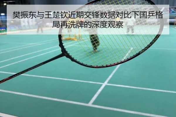 樊振东与王楚钦近期交锋数据对比下国乒格局再洗牌的深度观察