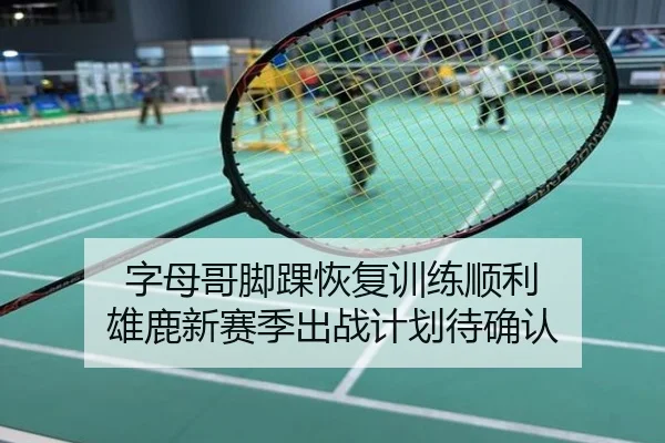 字母哥脚踝恢复训练顺利 雄鹿新赛季出战计划待确认